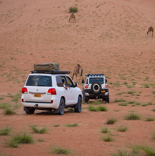 desert  adventure tours oman